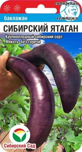 Баклажан Сибирский ятаган (сс) 20шт  – купить в г. Волгоград