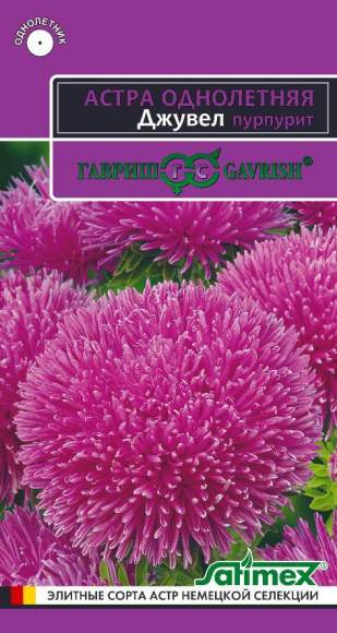 Астра Джувел Пурпурит (гавриш) 0,05гр – купить в г. Волгоград Астра Джувел Пурпурит (гавриш) 0,05гр – купить в г. Волгоград