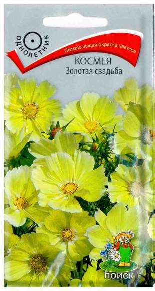 Космея Золотая свадьба (поиск) 10шт  – купить в г. Волгоград