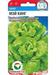 Салат кочанный Мэй Кинг (сибирский сад) 0,5 гр Салат кочанный Мэй Кинг (сибирский сад) 0,5 гр