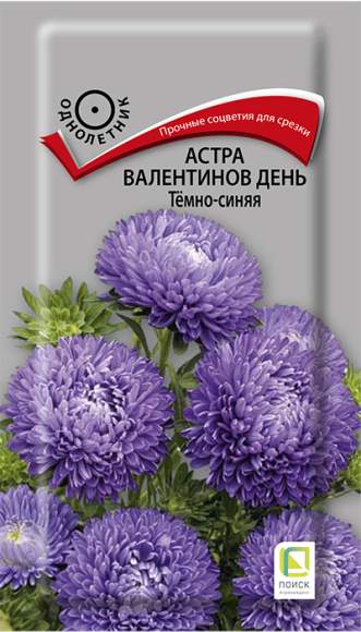 Астра Валентинов день темно-синяя (поиск) 0,2гр  – купить в г. Волгоград