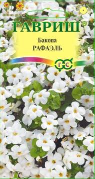 Бакопа Рафаэль (гавриш) 3шт
