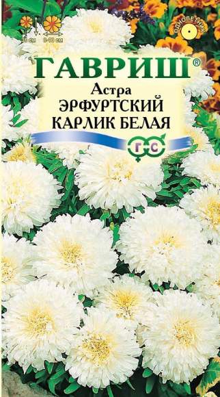 Астра Эрфуртский карлик белая (гавриш) 0,3гр  – купить в г. Волгоград