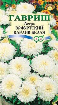 Астра Эрфуртский карлик белая (гавриш) 0,3гр