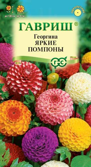Георгина Яркие помпоны (гавриш) 0,2 гр  – купить в г. Волгоград