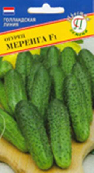Огурец Меренга F1 (престиж) 5 шт (seminis)  – купить в г. Волгоград