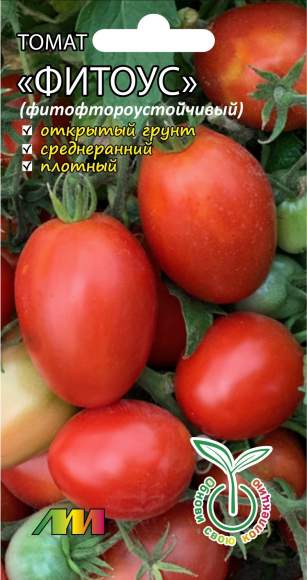 Томат Фитоус (мязина) 10 шт  – купить в г. Волгоград