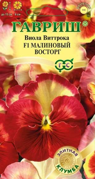 Виола Виттрока Малиновый восторг F1 (гавриш) 5 шт  – купить в г. Волгоград