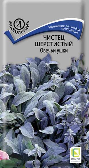 Чистец шерстистый Овечьи ушки (поиск) 0,1гр  – купить в г. Волгоград