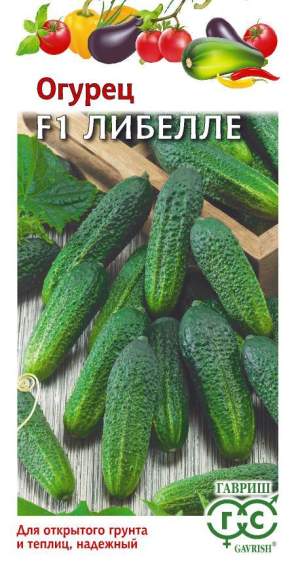 Огурец Либелле F1 (гавриш) 0,5 гр  – купить в г. Волгоград