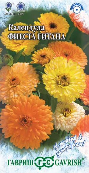 Календула Фиеста Гитана (гавриш) 0,3 гр – купить в г. Волгоград Календула Фиеста Гитана (гавриш) 0,3 гр – купить в г. Волгоград