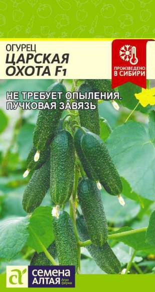 Огурец Царская охота F1 (семена Алтая) 5шт  – купить в г. Волгоград