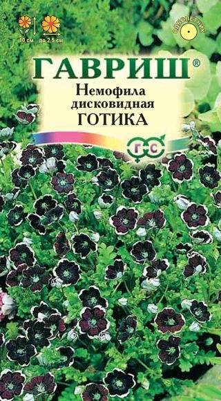 Немофила Готика (гавриш) 0,2 гр  – купить в г. Волгоград