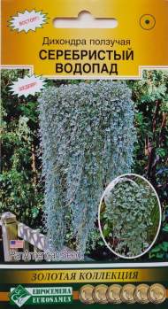 Дихондра Серебристый водопад (евро семена) 3шт