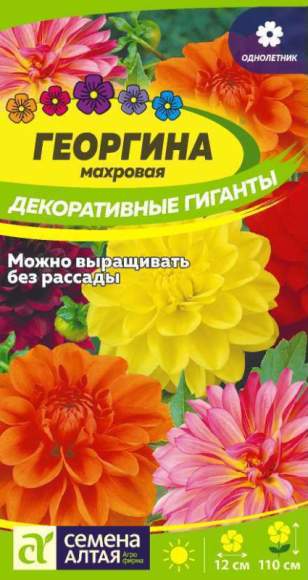 Георгина Декоративные гиганты (семена Алтая) 0,2гр  – купить в г. Волгоград