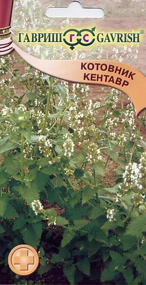Котовник Кентавр (г) 0,1гр  – купить в г. Волгоград