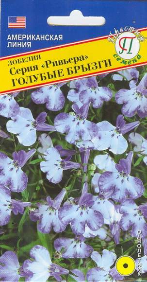 Лобелия ампельная Голубые брызги (серия Ривьера) (престиж) 5шт – купить в г. Волгоград Лобелия ампельная Голубые брызги (серия Ривьера) (престиж) 5шт – купить в г. Волгоград
