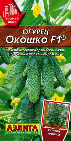 Огурец Окошко F1 (аэлита) 10 шт – купить в г. Волгоград Огурец Окошко F1 (аэлита) 10 шт – купить в г. Волгоград