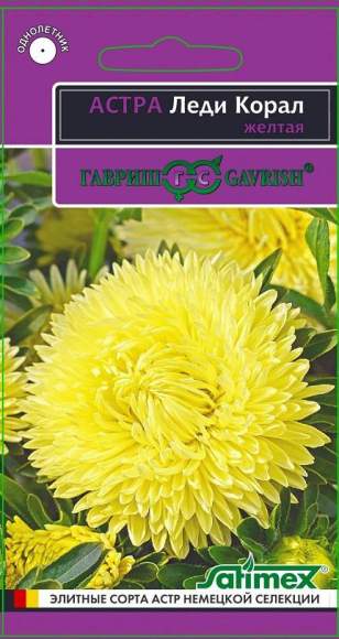 Астра Леди коралл желтая (гавриш) 0,05 гр – купить в г. Волгоград Астра Леди коралл желтая (гавриш) 0,05 гр – купить в г. Волгоград