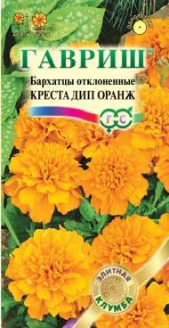 Бархатцы Креста дип оранж (гавриш) 7 шт
