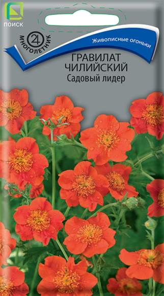 Гравилат Чилийский Садовый лидер (поиск) 0,1гр  – купить в г. Волгоград