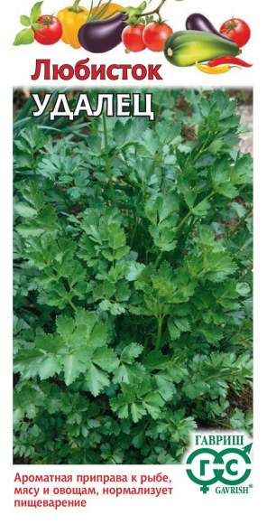 Любисток Удалец (гавриш) 0,5 гр – купить в г. Волгоград Любисток Удалец (гавриш) 0,5 гр – купить в г. Волгоград