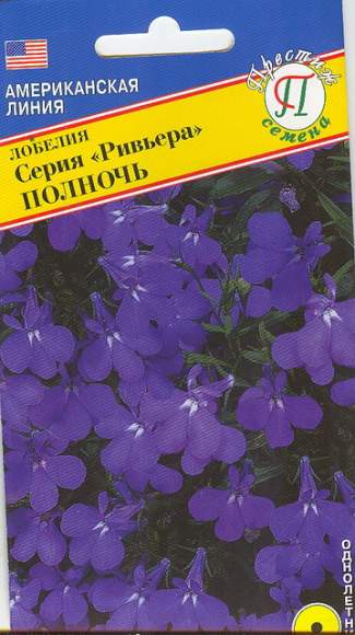 Лобелия Полночь (серия Ривьера) (престиж) 5 шт  – купить в г. Волгоград