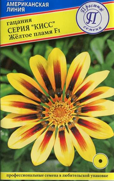 Гацания серия Кисс Желтое пламя F1 (престиж) 5 шт – купить в г. Волгоград Гацания серия Кисс Желтое пламя F1 (престиж) 5 шт – купить в г. Волгоград