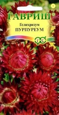Гелихризум Пурпуреум (гавриш) 0,1 гр Гелихризум Пурпуреум (гавриш) 0,1 гр
