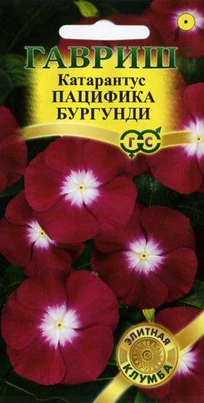 Катарантус Пацифика бургунди (гавриш) 5шт  – купить в г. Волгоград