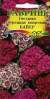 Гвоздика Байер турецкая махровая (гавриш) 0,1 гр  – купить в г. Волгоград