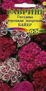 Гвоздика Байер турецкая махровая (гавриш) 0,1 гр  – купить в г. Волгоград