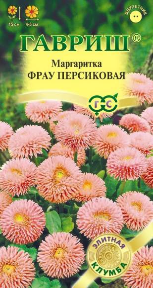 Маргаритка Фрау персиковая (гавриш) 4шт   – купить в г. Волгоград