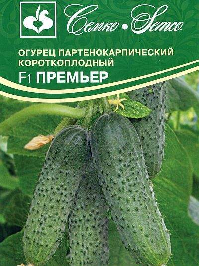 Огурец Премьер F1 (семко) 5 шт  – купить в г. Волгоград