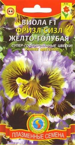 Виола Фриззл сиззл желто-голубая F1 (плазмас) 5 шт – купить в г. Волгоград Виола Фриззл сиззл желто-голубая F1 (плазмас) 5 шт – купить в г. Волгоград