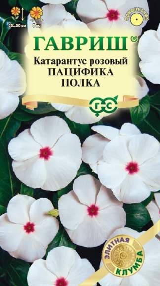 Катарантус Пацифика полка (гавриш) 5шт
