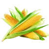 Кукуруза