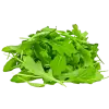 рукола
