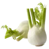 фенхель