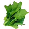 щавель